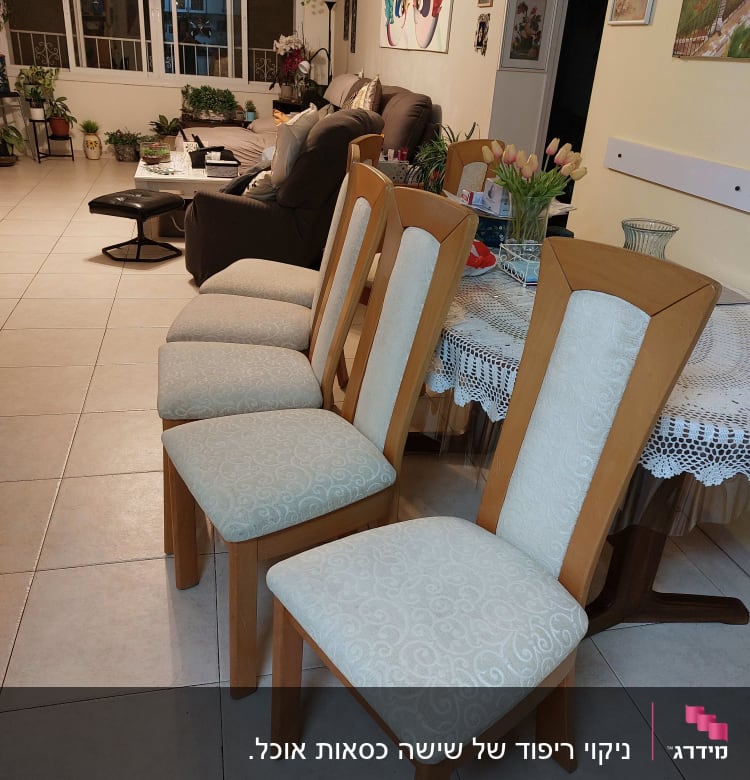 כיסאות מרופדים ליד שולחן בסלון מואר